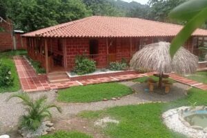 Caba&ntilde;a neverland palomino