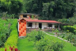 Caba&ntilde;a Puente Nuevo