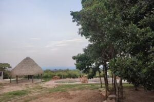 Caba&ntilde;a Refugio Villa Aleja