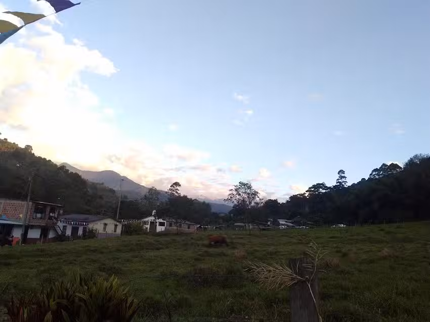 Caba&ntilde;a Yerbabuena