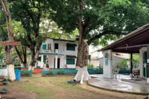 Caba&ntilde;as Alma de Mango