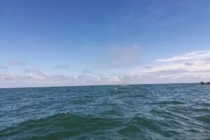 Caba&ntilde;as Costa Brava