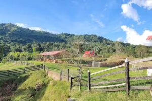 Cabañas de bella vista