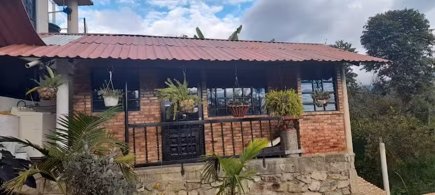 Caba&ntilde;as El Jazmin