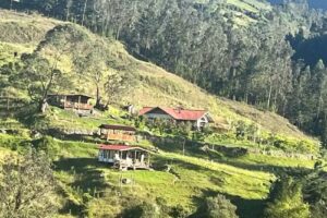 Caba&ntilde;as el Placer