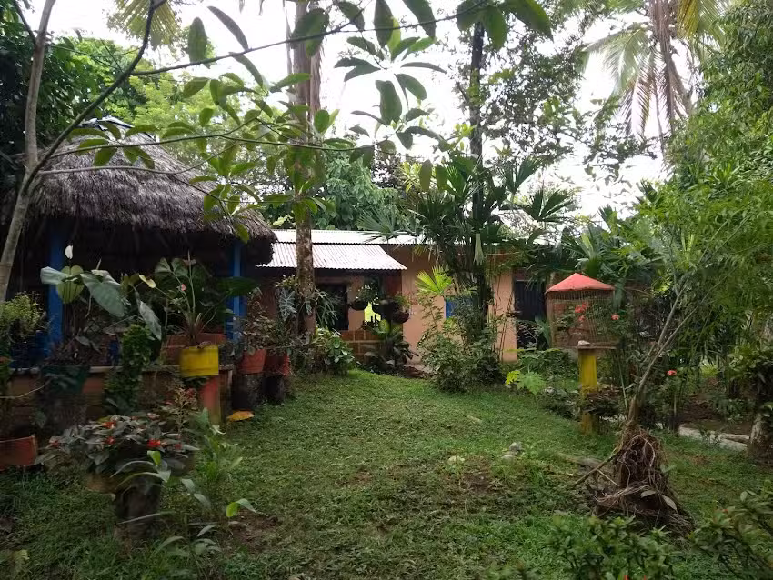 Caba&ntilde;as Las Dracenas