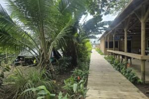 Caba&ntilde;as OQUENDO COMFACHOCO