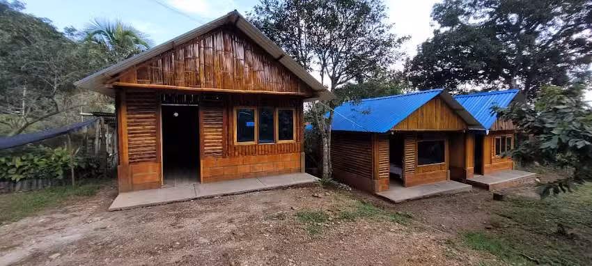 Caba&ntilde;as orquideas
