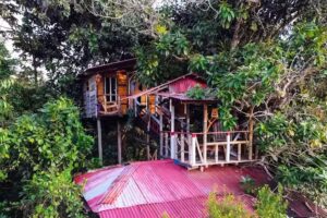 Caba&ntilde;as Villa Esperanza Vereda Figueroa Popay&aacute;n