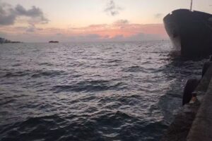 Caba&ntilde;as Villa Manglar