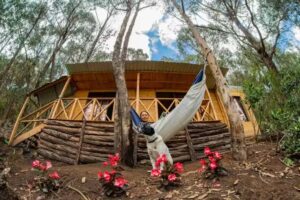 Cabañas Vista Majuy