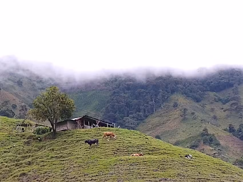Cabildo indigena Barbacoas