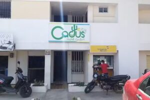 cactus city hostel confort