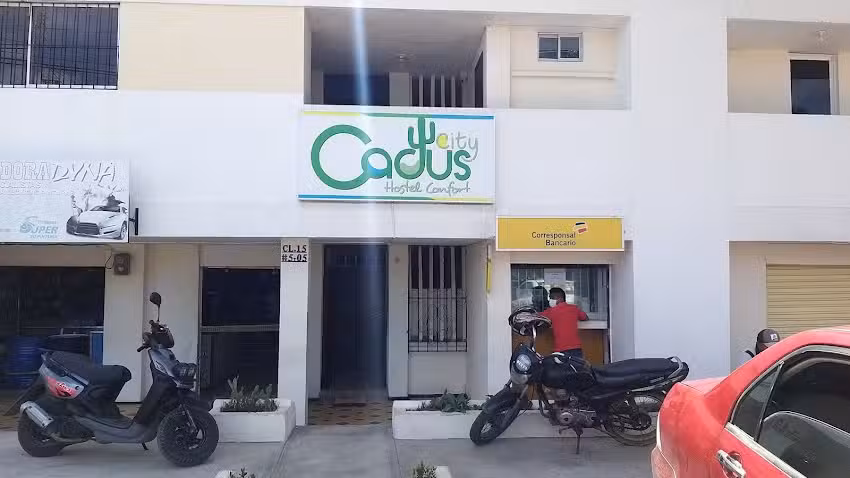 cactus city hostel confort