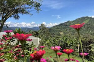 Caf&eacute; del Jard&iacute;n &ndash; Alojamiento Rural