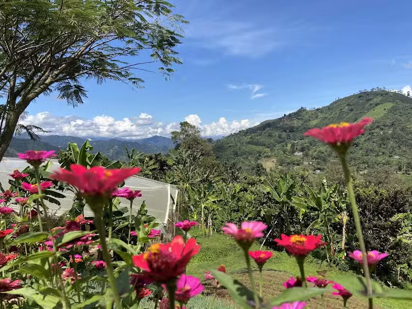 Caf&eacute; del Jard&iacute;n &ndash; Alojamiento Rural