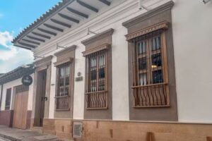 Camelia by Masaya Collection