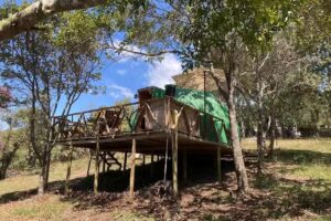 Campin y Glampings Kame House