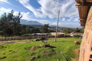 Camping Mirador de Las Rocas