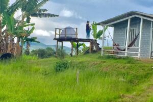 Camping Tierra Violeta