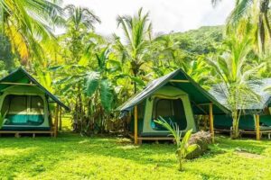 Camping y Caba&ntilde;as Don Pedro