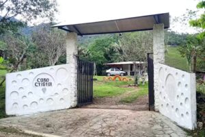 CA&Ntilde;O CRISTAL SAN RAFAEL