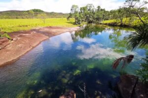 Caño de San Roque, Puerto Carreño Vichada