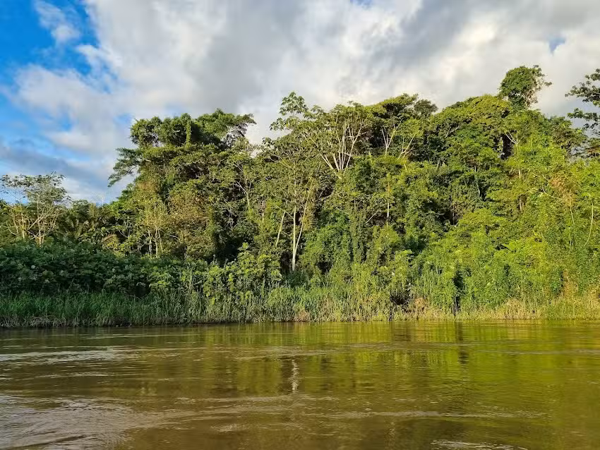 Capibara Experiences