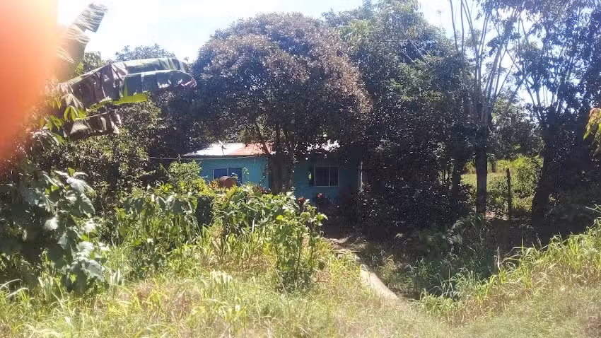 Casa de Jaime Buelvas