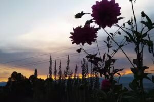 Casa de la familia Campo