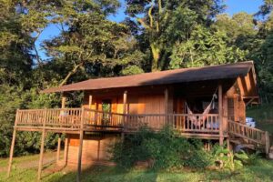 Casa de Micos en el Piedemonte Llanero