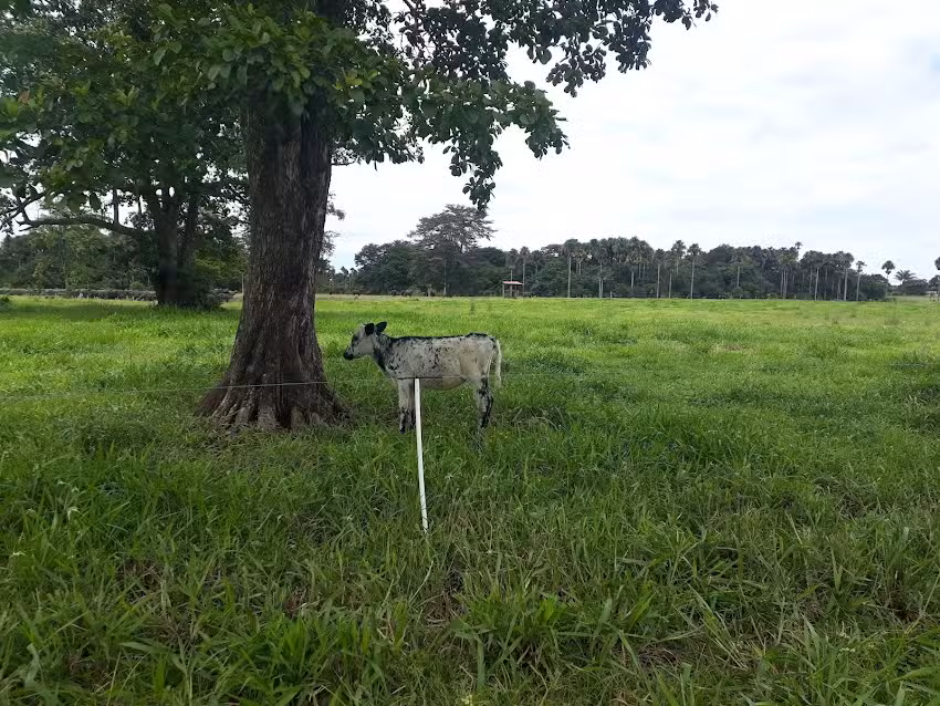 Casa Morichal del Lago