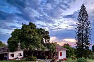 Casa Vieja Mountain Lodge | Caba&ntilde;a Buitrera Palmira | Lodge | Hotel | Avistamiento de aves | Terapias Hol&iacute;sticas