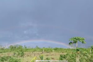 Caserio La Esmeralda del Lobo