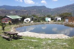 Centro de Bienestar Ayurmed