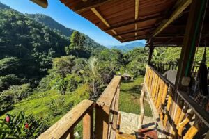 Cinduli Finca Org&aacute;nica Cacaotera