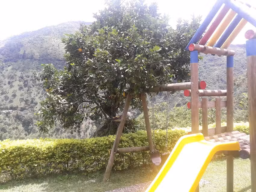 Coffee Tour / Reserva previa visita