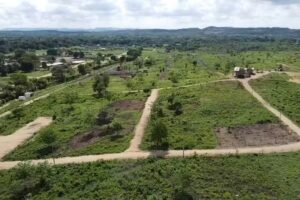 Colinas de Ca&ntilde;averal