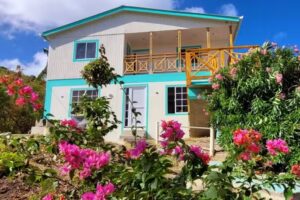 Colorful Garden House