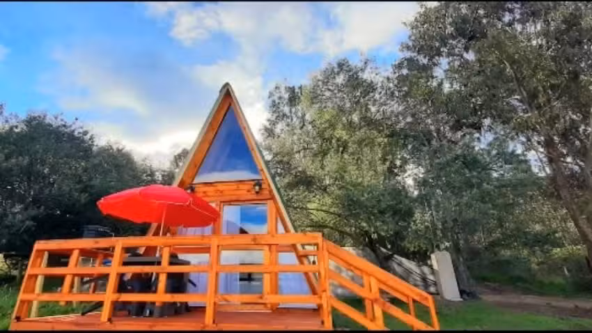 Covadonga/Granja Farm, Tomin&eacute;