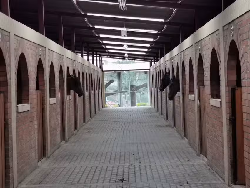 Criadero de Santa Rosa