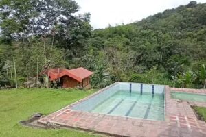 Despertar con las aves