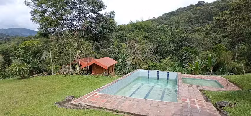 Despertar con las aves