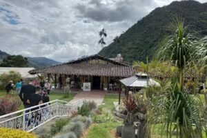Donde Juan B Bosques de Cocora Valle De cocora