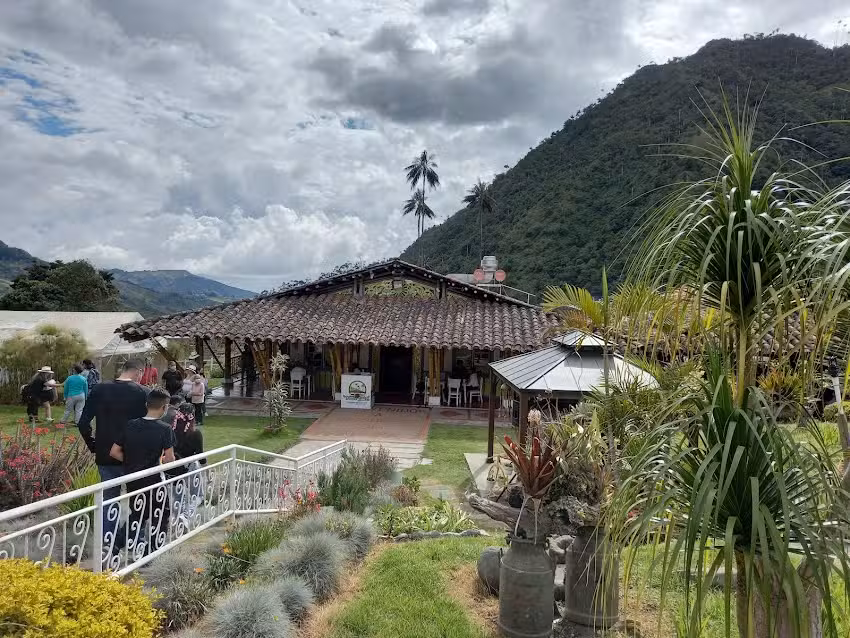 Donde Juan B Bosques de Cocora Valle De cocora