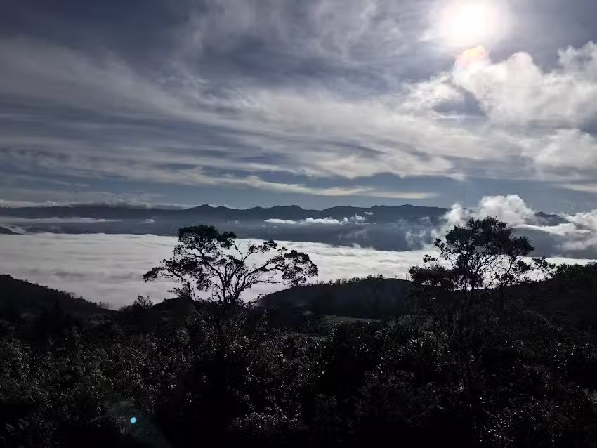 Donde se devuelve el viento