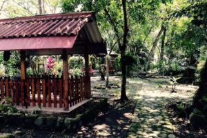 Dosis Verde &ndash; Tobia -Finca Jerusalen