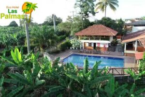 Eco Hotel Las Palmas