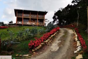 ECO Hotel Nig&uuml;ito