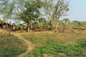 Ecoaldea Panzen&uacute;